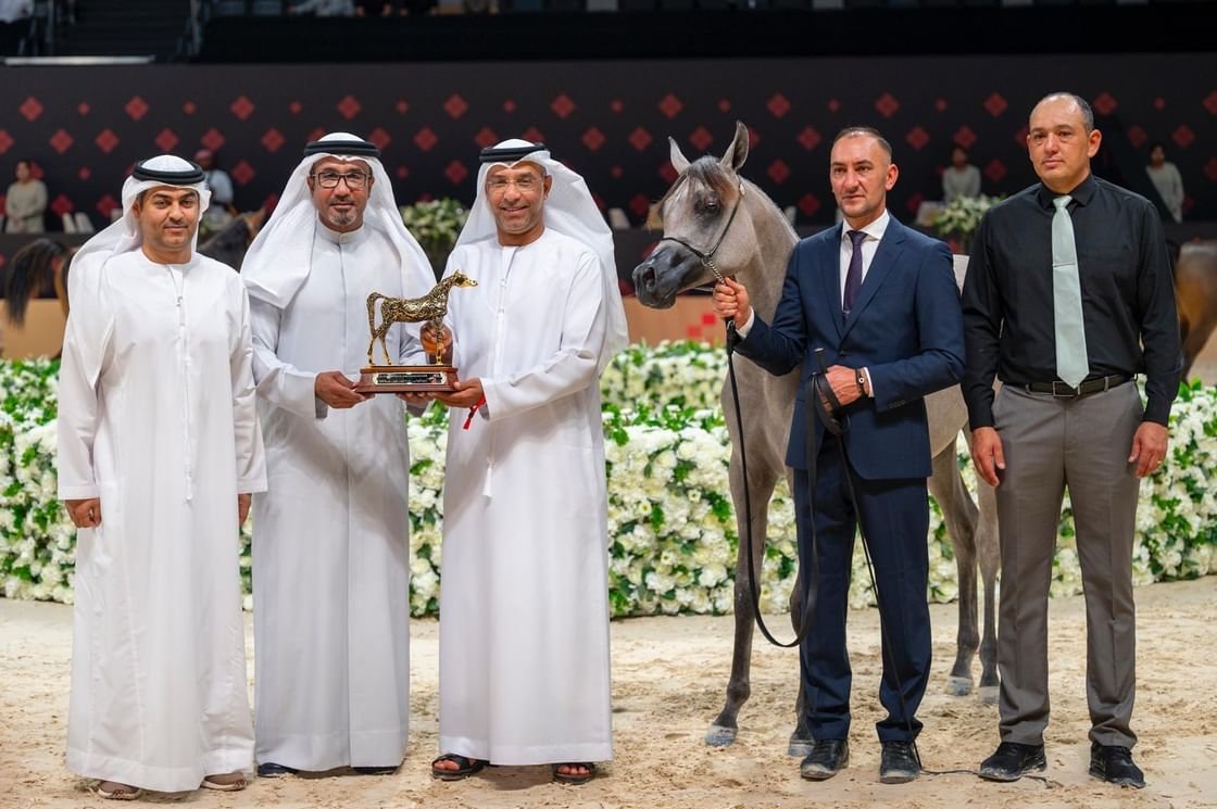 "شادن ياسر" تحقق أعلى معدل في انطلاقة بطولة أبوظبي لجمال الخيل العربية 1 "شادن ياسر" تحقق أعلى معدل في انطلاقة بطولة أبوظبي لجمال الخيل العربية