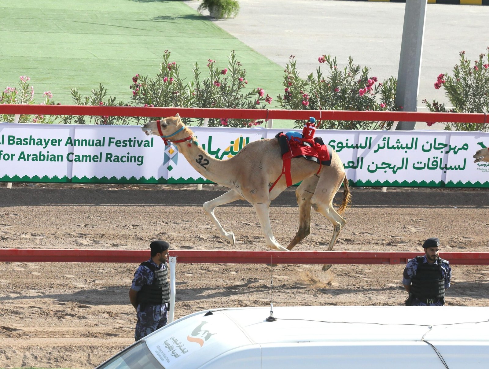 هجن الرئاسة تحلق بالسيف الذهبي لمهرجان البشاير 2025 1 هجن الرئاسة تحلق بالسيف الذهبي لمهرجان البشاير 2025
