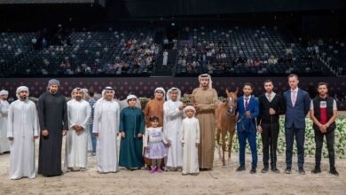 "ع ج براكة" تتألق في ثاني أيام بطولة أبوظبي الدولية لجمال الخيل العربية