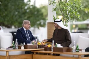 رئيس الدولة ورئيس وزراء باكستان يبحثان علاقات التعاون بين البلدين