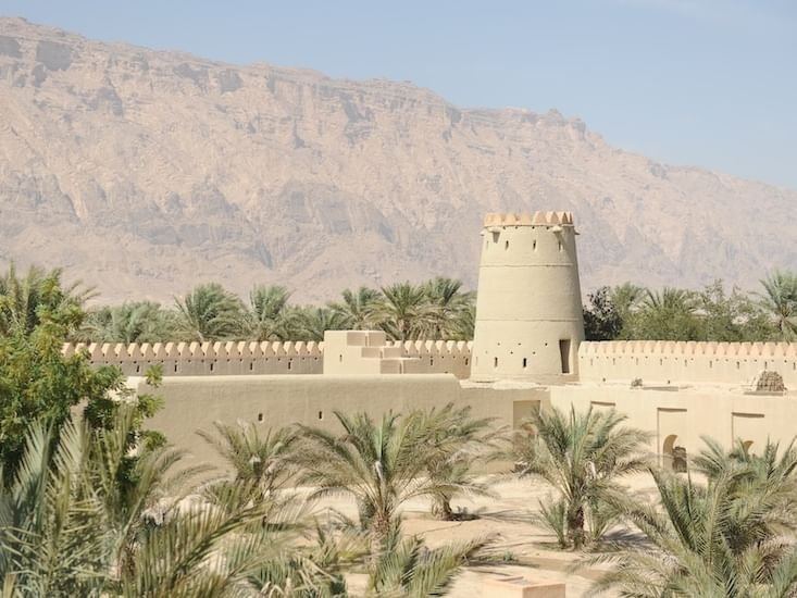 اختيار مدينة العين لاستضافة "مؤتمر تيرا العالمي" الرابع عشر 1 اختيار مدينة العين لاستضافة "مؤتمر تيرا العالمي" الرابع عشر