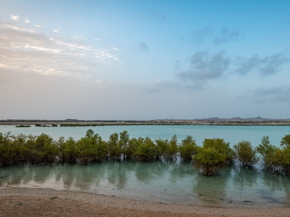 هيئة البيئة – أبوظبي تصدر لائحة جديدة بشأن الجزاءات الإدارية لتعزيز حماية البيئة 1 هيئة البيئة – أبوظبي تصدر لائحة جديدة بشأن الجزاءات الإدارية لتعزيز حماية البيئة