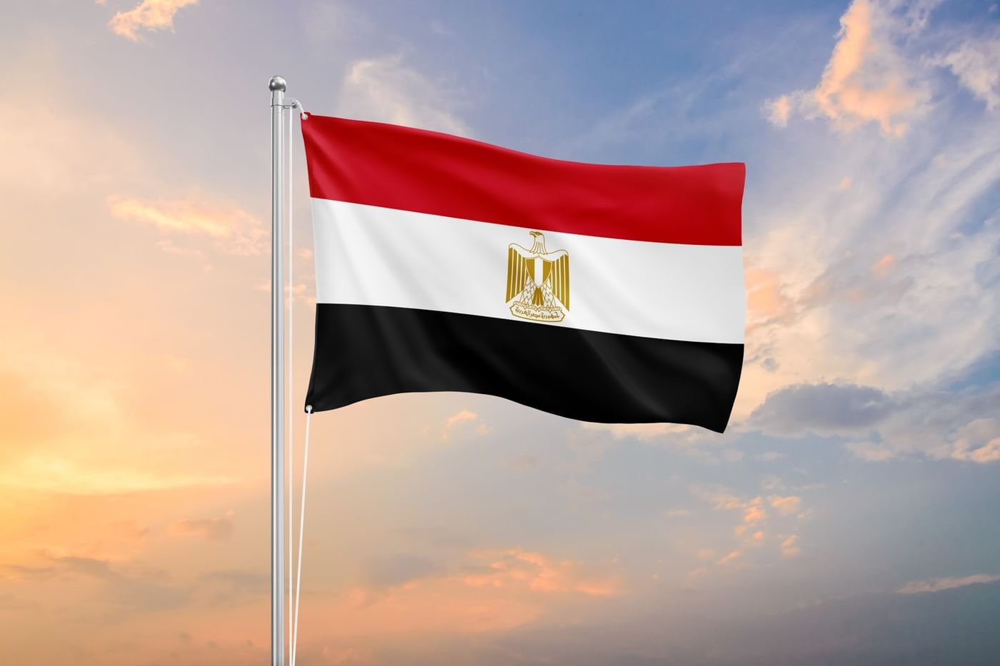 مصر تستضيف قمة عربية طارئة 27 فبراير الجاري 1 مصر تستضيف قمة عربية طارئة 27 فبراير الجاري