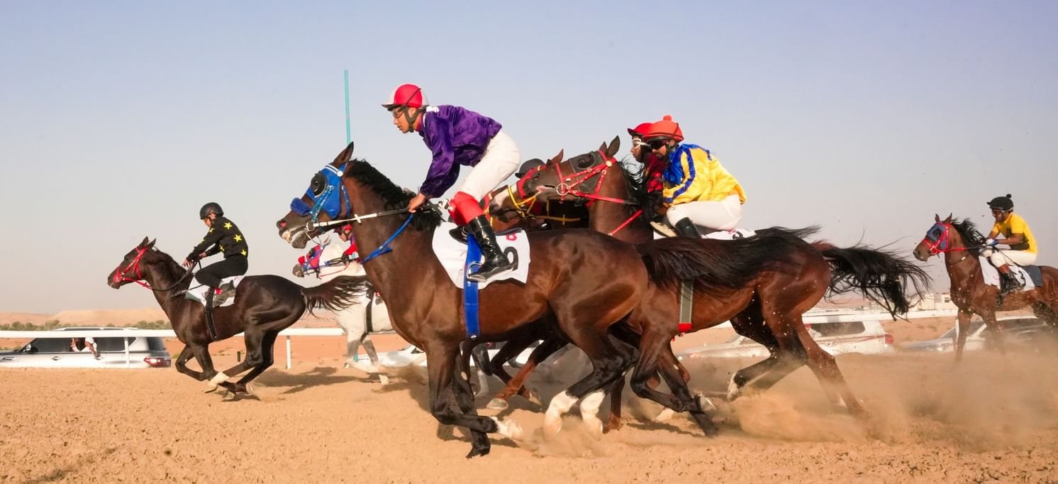 "ليوا الرياضي" يعلن تنظيم السباق الـ"7" للخيول العربية الأصيلة غدا 1 "ليوا الرياضي" يعلن تنظيم السباق الـ"7" للخيول العربية الأصيلة غدا