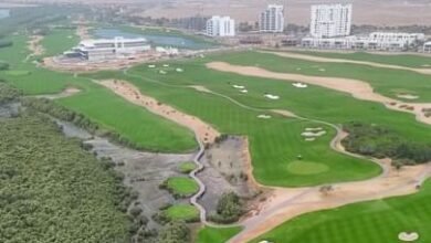 "بلدية عجمان"... مبادرات مبتكرة لترسيخ الاستدامة وحماية البيئة