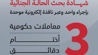 وزارتي الداخلية والخارجية