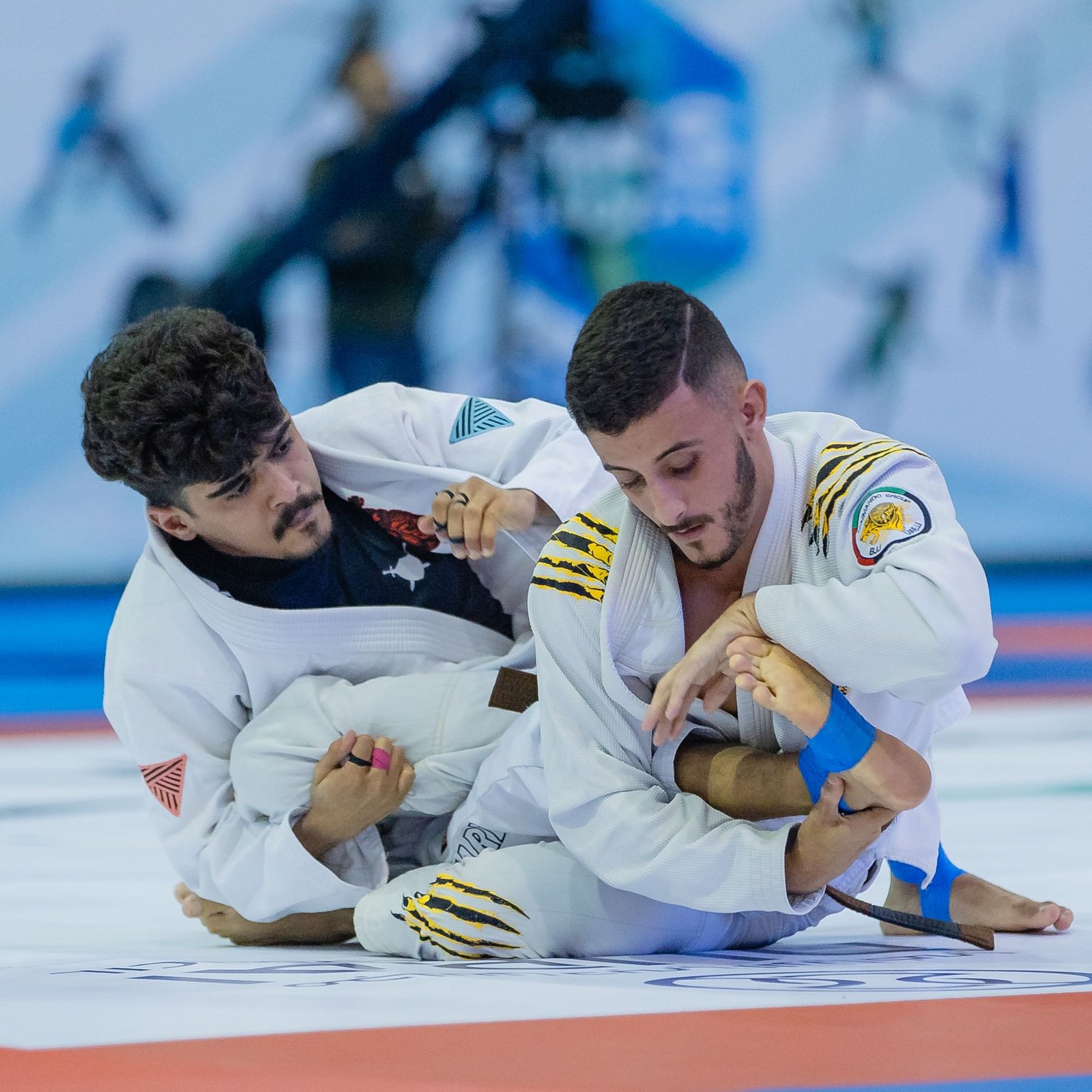 إقبال كبير على المشاركة في منافسات الجوجيتسو ببطولة ند الشبا 1 إقبال كبير على المشاركة في منافسات الجوجيتسو ببطولة ند الشبا
