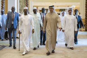 منصور بن زايد ورئيس تشاد يبحثان تعزيز التعاون الثنائي