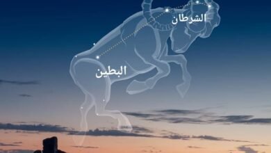 "الإمارات للفلك".. طلوع "منزلة الشرطان" بدءا من 12 مايو علامة دخول الصيف
