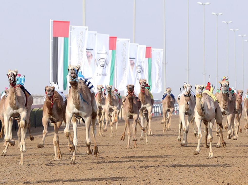 مهرجان المرموم.. نافذة حيّة على التراث الإماراتي ومنصة للتواصل بين الثقافات 1 مهرجان المرموم