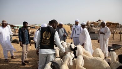 "الأعمال الخيرية العالمية" تطلق حملة الأضحى بتكلفة تتجاوز 24 مليون درهم