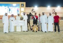 مدير الخيل العربية الكويتي: مبادرات “جمعية الإمارات” تسهم في تطوير الإنتاج وتحفز الملاك