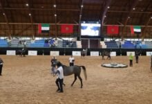 انطلاق فعاليات كأس الإمارات العالمي لجمال الخيل العربية بالمغرب