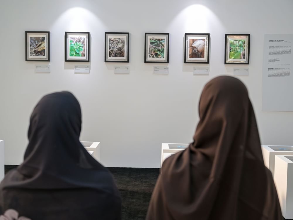 معرض "سرديات المكان... رؤى منقحة" في منارة السعديات 1 معرض "سرديات المكان... رؤى منقحة" في منارة السعديات