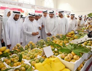 انطلاق فعاليات "مهرجان خورفكان للمانجو 2025" بدورته الـ4