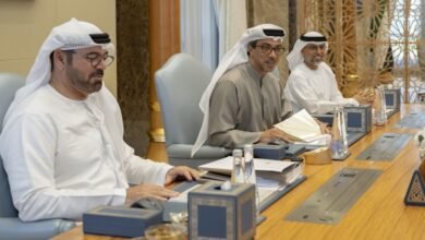 برئاسة منصور بن زايد.. "الوزاري للتنمية" يناقش عدداً من التقارير الحكومية