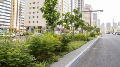 "دائرة البلديات والنقل"