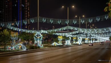 دائرة البلديات والنقل