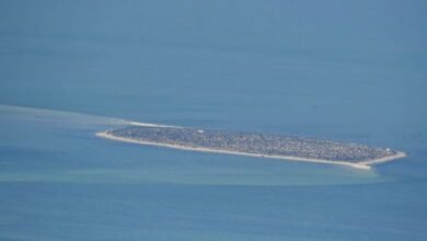 "بيئة أبوظبي" تستكمل مسحا جويا يغطي أكثر من 8,000 كم2 من الموائل البحرية