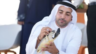 رئيس دائرة السياحة والآثار يشهد إطلاق اثنتين من السلاحف البحرية بخور أم القيوين