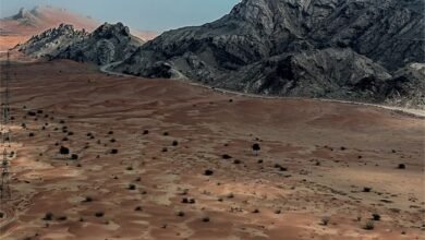 الشارقة.. "الفاية" يكمل 11 عاماً من التعاون مع برنامج اليونسكو لـ"التطور البشري"