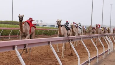 منافسات مثيرة في سباق "سن الفطامين" بميدان الذيد لسباقات الهجن