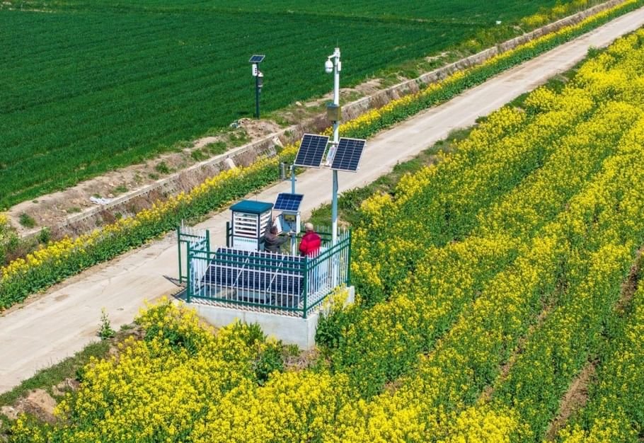لرفع الإنتاجية.. الصين تعزز استخدام الذكاء الاصطناعي في الزراعة الذكية