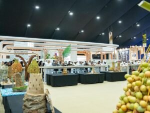مهرجانات الرطب .. احتفاء بتراث النخيل ورؤية زايد ودعامة للأمن الغذائي والسياحة