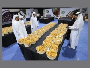 مهرجانات الرطب .. احتفاء بتراث النخيل ورؤية زايد ودعامة للأمن الغذائي والسياحة