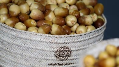 برعاية منصور بن زايد.. الدورة الـ 21 من مهرجان ليوا للرطب تنطلق غداً