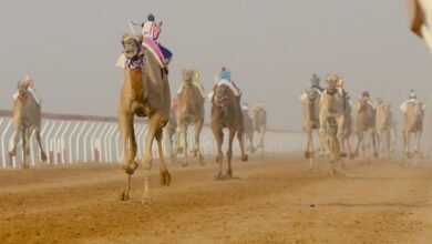 “سمحة” تحلق بناموس الإيذاع في مهرجان العين للهجن