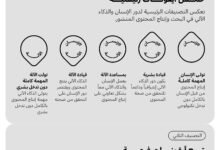 حمدان بن محمد يعتمد أول نظام تصنيف عالمي يوضح مدى مشاركة الذكاء الآلي مع الإنسان في البحوث وإنتاج المحتوى