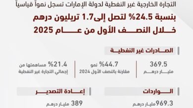 محمد بن راشد: تجارتنا الخارجية غير النفطية بلغت 1.7 تريليون درهم في النصف الأول للعام الجاري