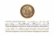 علي سعيد النيادي: المرأة شريك أساسي في مسيرة التنمية الوطنية