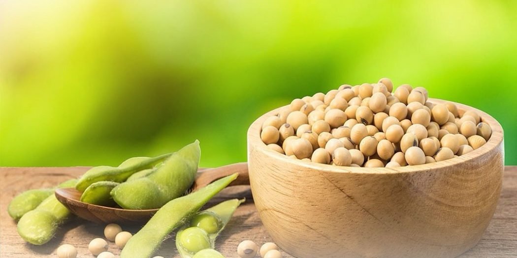 فول الصويا.. طعام صحي له فوائد مميزة 1 فول الصويا.. طعام صحي له فوائد مميزة