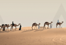 مؤسسة الإمارات