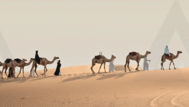 مؤسسة الإمارات