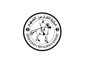 "الفارس الشهم 3" .. دخول 325 شاحنة مساعدات إماراتية تحمل 6775 طنا إلى قطاع غزة منذ فتح المعابر