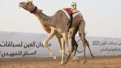 "الشامخة" تتصدر الشوط الرئيسي في اليوم الرابع من مهرجان العين لسباقات الهجن