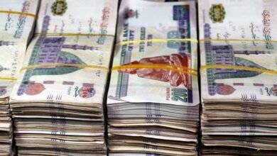 مصر : مستوى كفاية رأس المال في البنوك المصرية يتجاوز معايير بازل 3