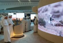 الصندوق الدولي للحفاظ على الحبارى يشارك بجناح مميز في معرض الصيد والفروسية