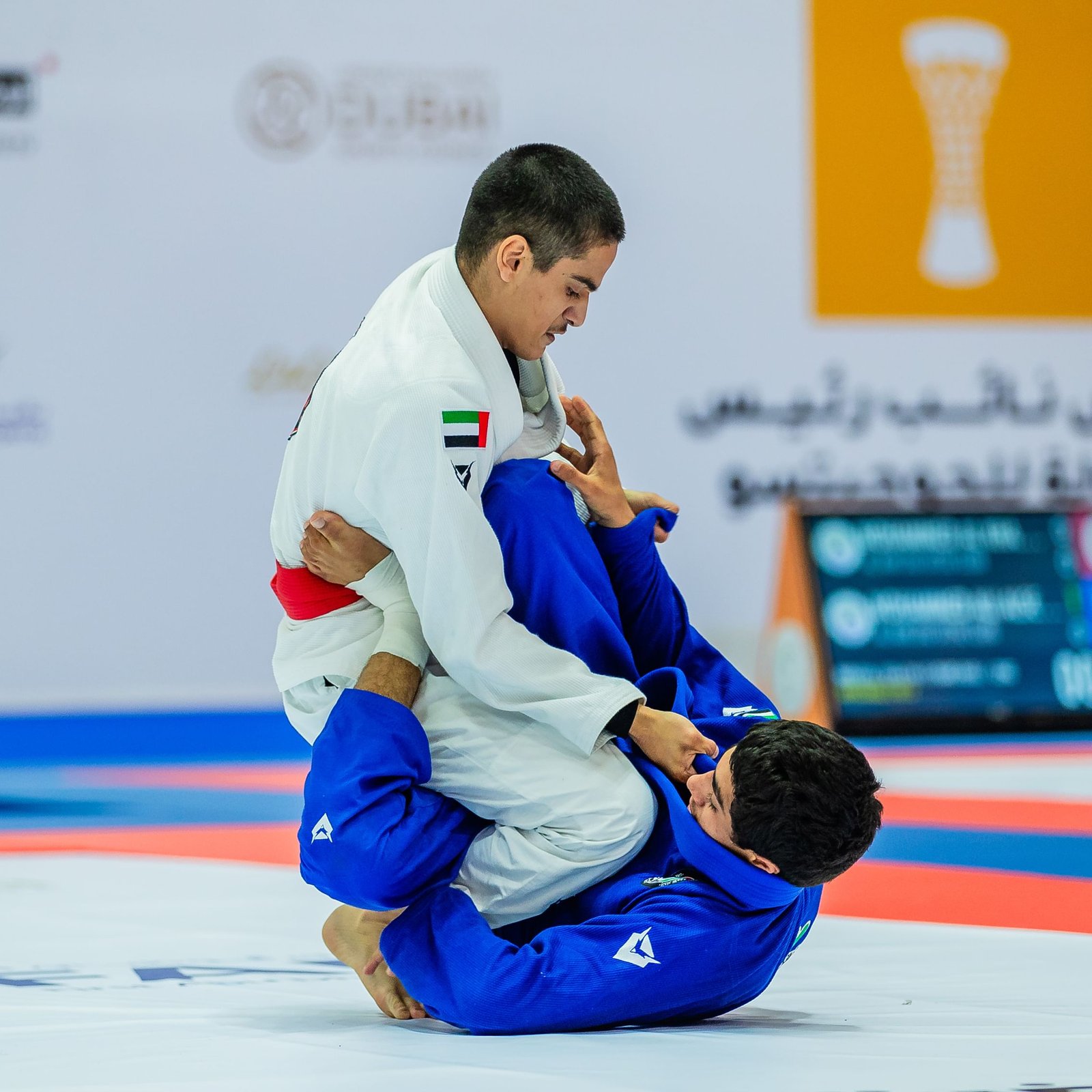 منافسات النسخة الـ8 من كأس نائب رئيس الدولة للجوجيتسو تنطلق غدا في دبي