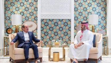 ولي العهد السعودي والرئيس المصري يستعرضان مستجدات المنطقة