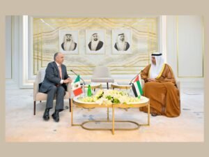 المجلس الوطني الاتحادي ومجلس النواب المكسيكي يبحثان علاقات التعاون البرلمانية