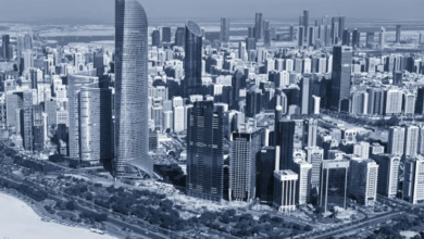 دائرة البلديات والنقل تعتمد مشاريع تطويرية بمساحة تزيد على 30 مليون متر مربع في أبوظبي خلال النصف الأول من 2025