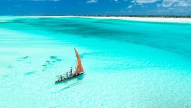 الاتحاد للطيران تعود إلى زنجبار بـ4 رحلات أسبوعية في الصيف المقبل