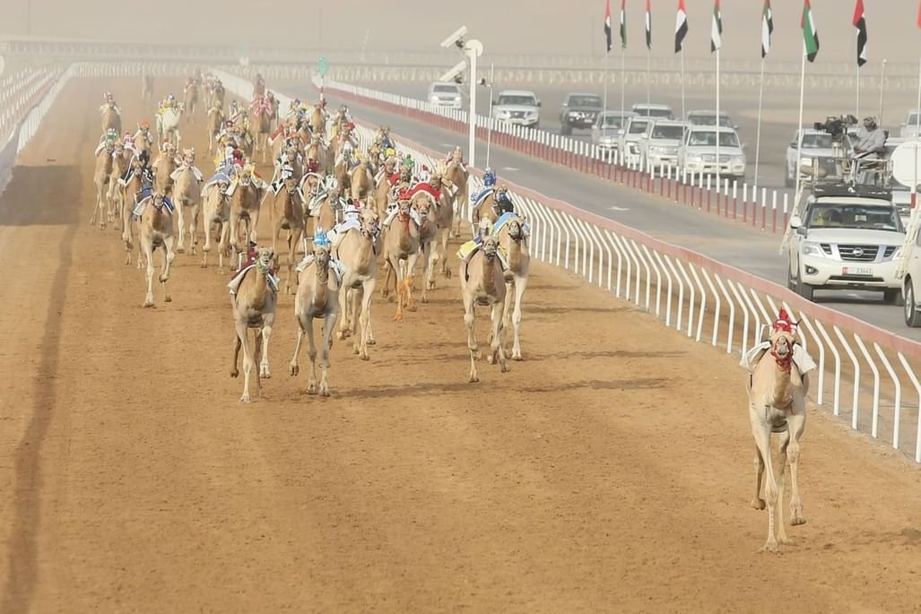 الجولة التمهيدية الـ3 لمهرجان العين لسباقات الهجن تنطلق غدا 1 الجولة التمهيدية الـ3 لمهرجان العين لسباقات الهجن تنطلق غدا