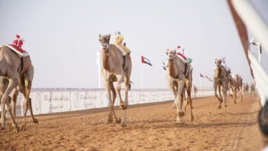 "شاهين" يحصد "أفضل توقيت" بمنافسات "الإيذاع" بمهرجان العين للهجن