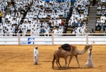 مليون و 770 ألف درهم مبيعات مزاد الهجن بمعرض أبوظبي الدولي للصيد والفروسية