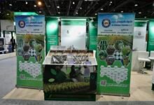 الثمرات للتجارة